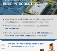 The Company Brief Introduction