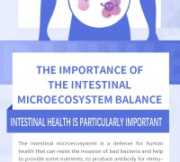 THE IMPORTANCE OF THE INTESTINAL MICROECOSYSTEM BALANCE