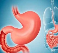 THE PHYSIOTHERAPY OF FAR INFRARED ON GASTROINTESTINAL SYSTEM