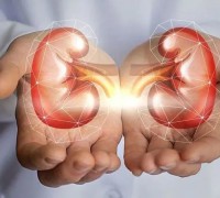 Manifestations of Kidney Deficiency